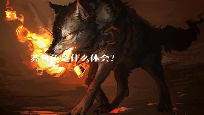 养乌龟是什么体会？