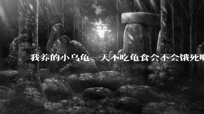 我养的小乌龟一天不吃龟食会不会饿死呢？