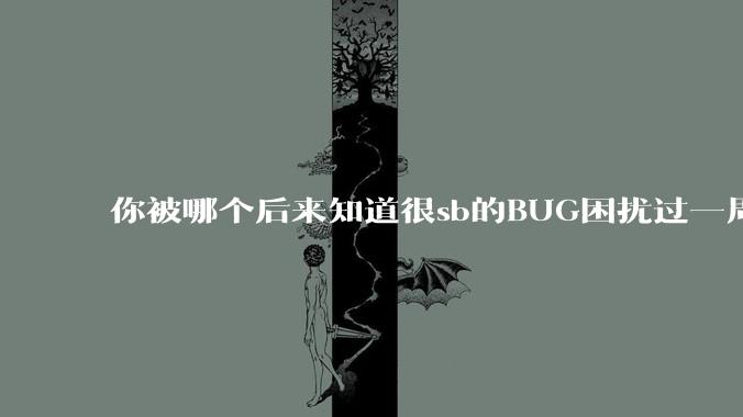 你被哪个后来知道很sb的BUG困扰过一周以上吗？