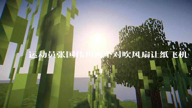 运动员张国伟用两个对吹风扇让纸飞机「悬停」，这是怎么实现的？从物理学角度如何解释？